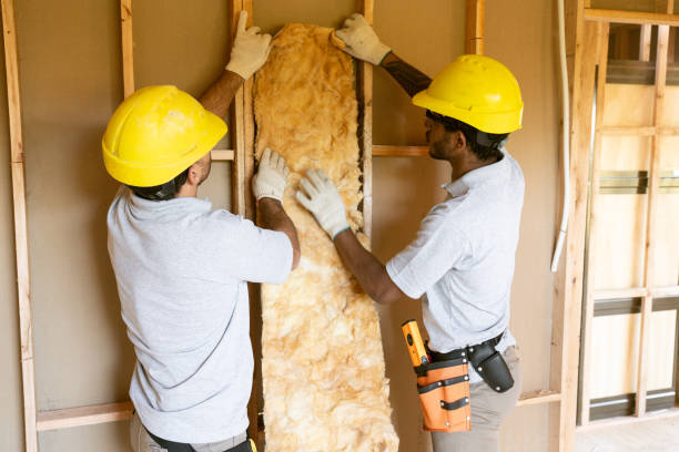 Best Local Insulation Services  in Saddle River, NJ