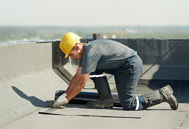 Best Insulation Replacement Services  in Saddle River, NJ