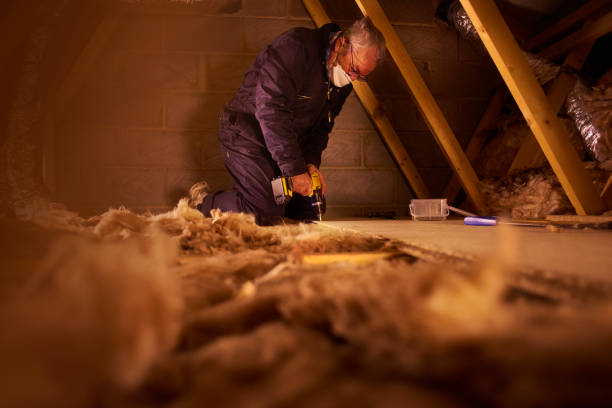 Best Insulation for New Construction  in Saddle River, NJ